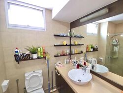 Parkshore (D15), Condominium #484216011